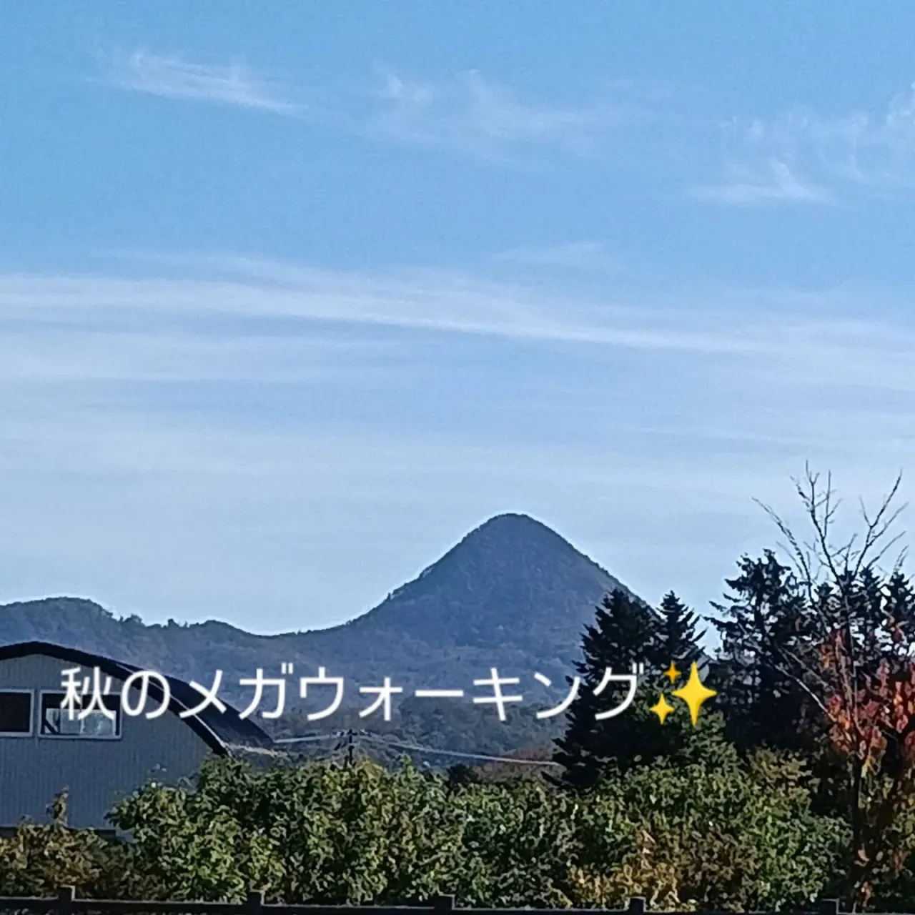 今年2度目の【メガウォーキング】