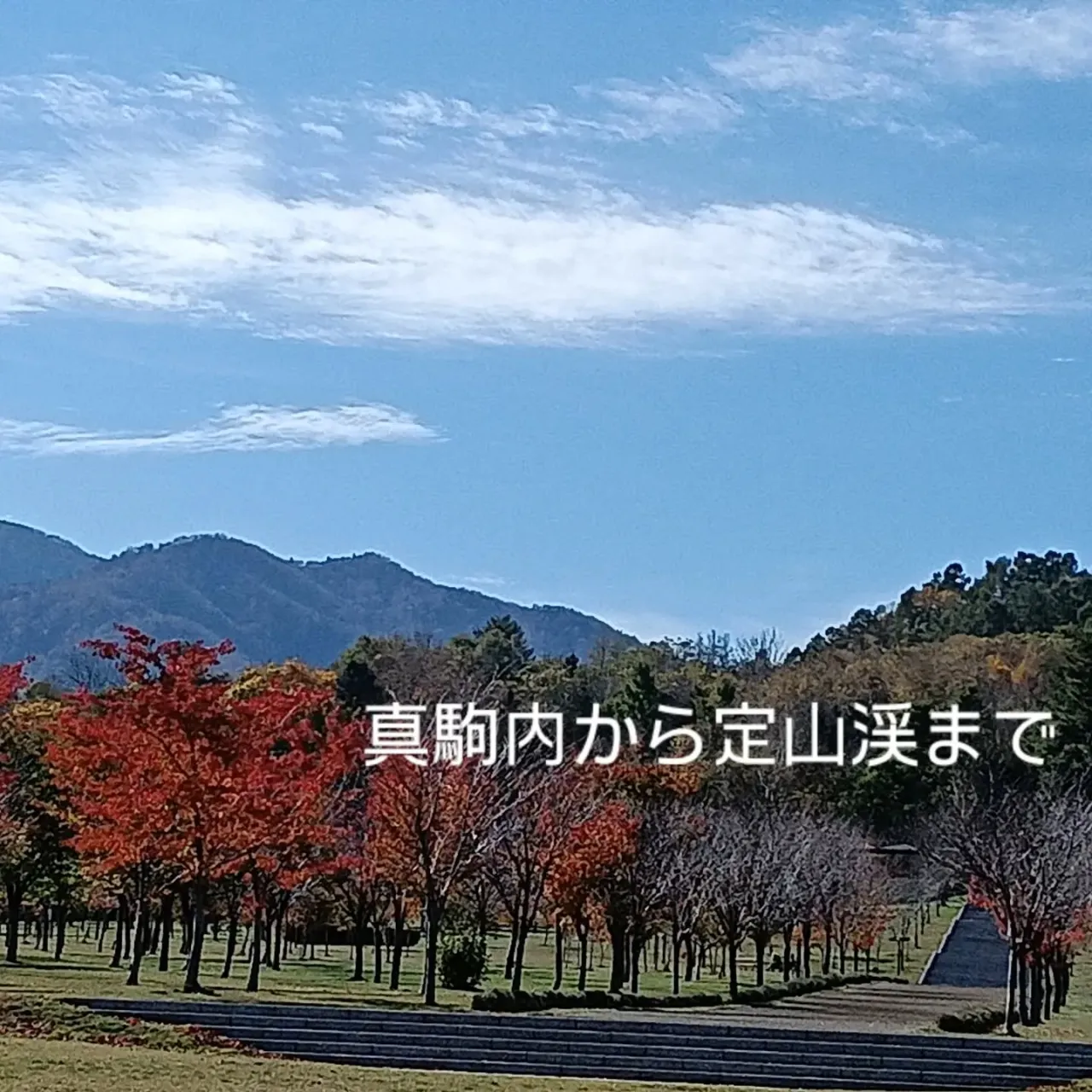 今年2度目の【メガウォーキング】