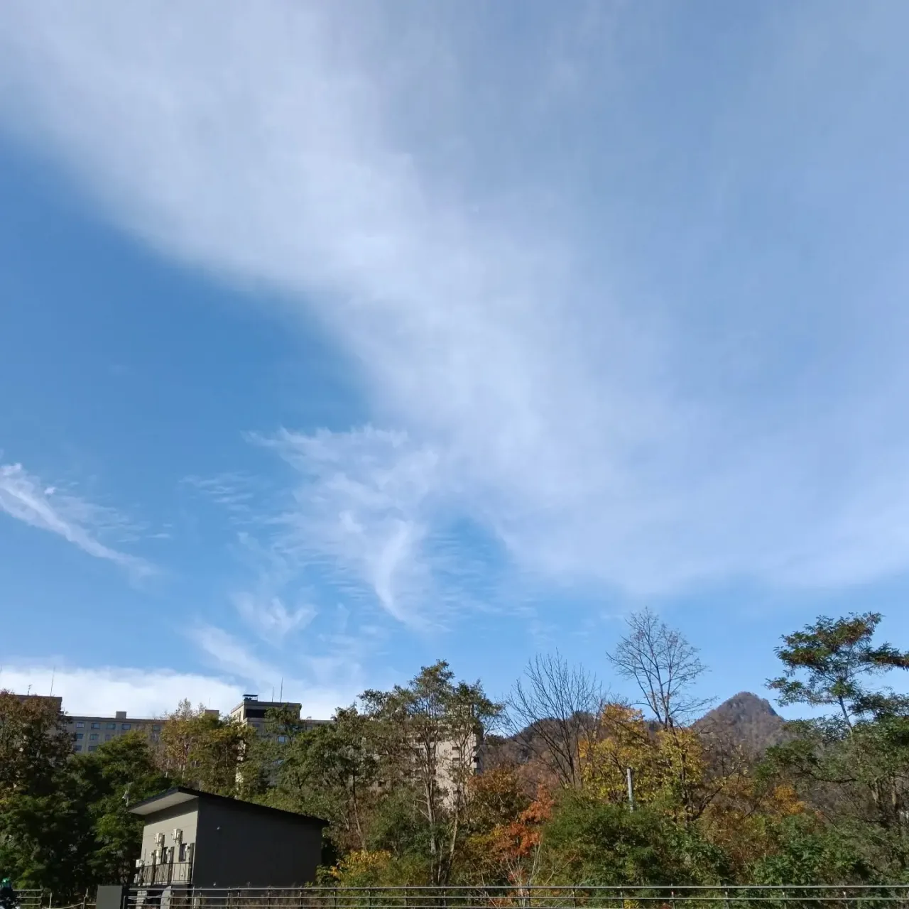今年2度目の【メガウォーキング】